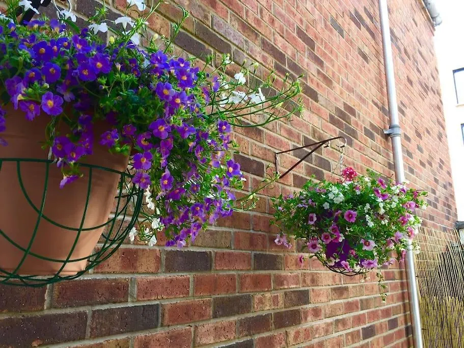 Prázdninový dům Stylish City Centre House / 3 Bedroom / Family Friendly Belfast Velká Británie
